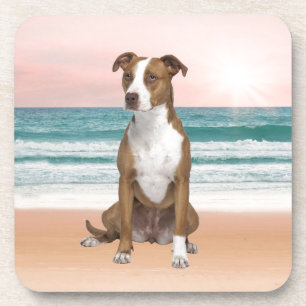 Schattigee Pitbull Dog Zittend op het strand met z Bier Onderzetter