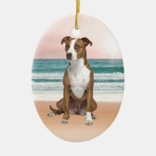 Schattigee Pitbull Dog Zittend op het strand met z Keramisch Ornament