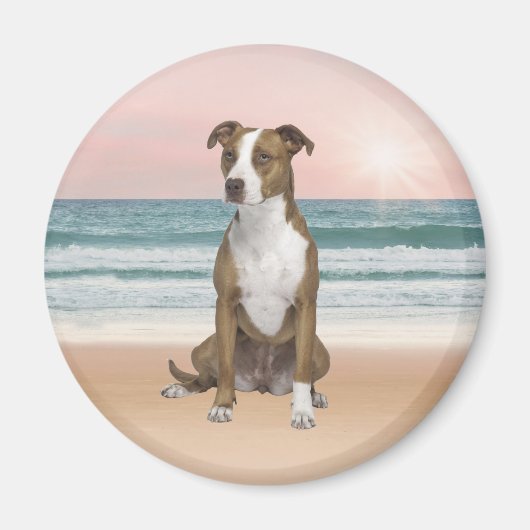 Schattigee Pitbull Dog Zittend op het strand met z Magneet (Voorkant)