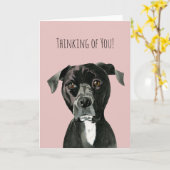 Schattigee pitbull terriër | Denken aan jou Kaart (Gele Bloem)