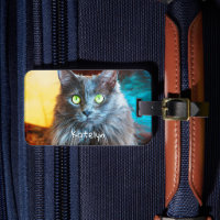 Schattigee pluizige grijze kat foto aangepaste naa