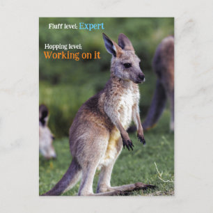 Schattigee pluizige joey Kangaroo Feestdagenkaart