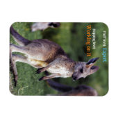 Schattigee pluizige joey Kangaroo Magneet (Horizontaal)