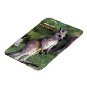Schattigee pluizige joey Kangaroo Magneet (Linkerzijde)