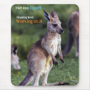 Schattigee pluizige joey Kangaroo Muismat