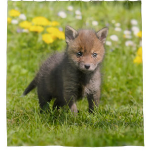 Schattigee pluizige rode vos welp wilde baby dier, douchegordijn