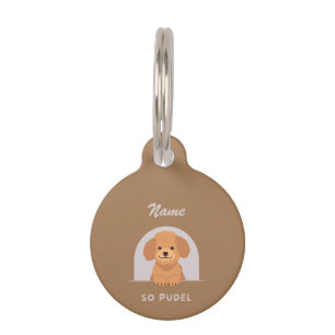 Schattigee Poedel Hond Dieren Liefde Poot Pet Huisdierpenning