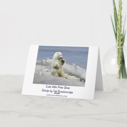 Schattigee Polar Beer welp & Arctic Ice Verjaardag Kaart (Achterkant)