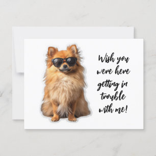 Schattigee Pommerse hond wou dat je hier vermist w Briefkaart