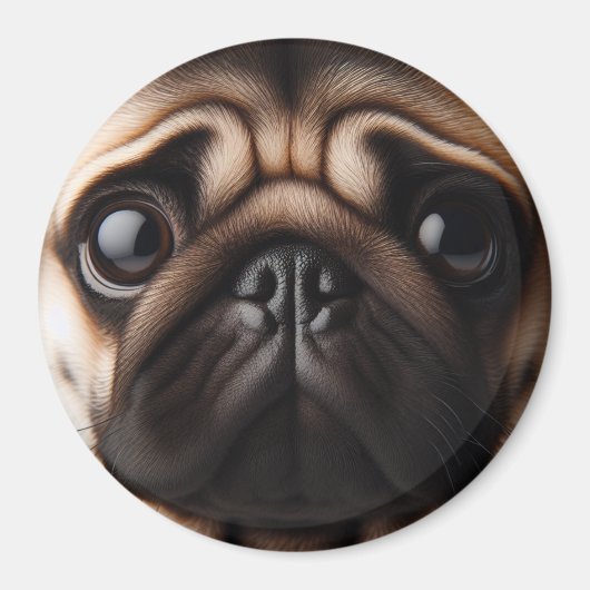 Schattigee Pug Face Pug Dogs Magneet (Voorkant)