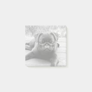 Schattigee Pug Puppy Hondenliefhebber Zwart-wit Fo Post-it® Notes