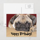 Schattigee Pug Puppy Verjaardagswens Briefkaart (Voorkant / Achterkant)