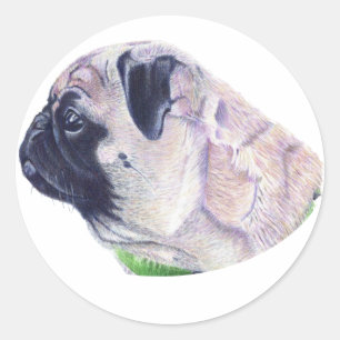 Schattigee Pug Stickers