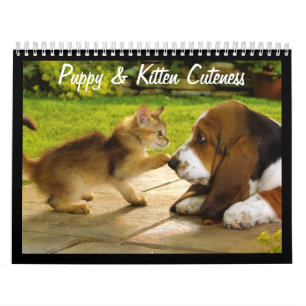 Schattigee Puppies en Kittens 2018 Kalender
