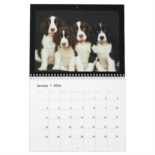 Schattigee Puppies en Kittens 2018 Kalender (Jan 2026)