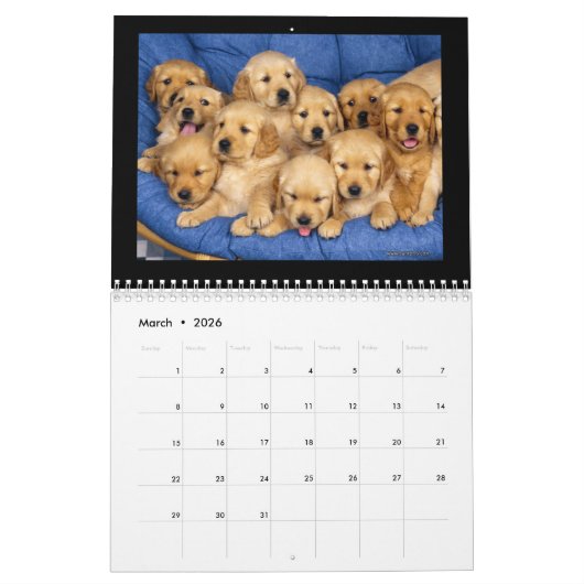 Schattigee Puppies en Kittens 2018 Kalender (Mar 2026)