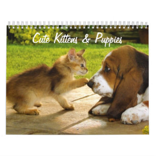 Schattigee Puppies en Kittens kalender