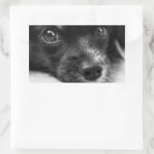 Schattigee Puppy Dog Gezicht Sticker (Tas)