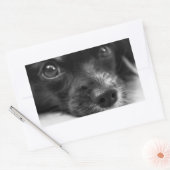 Schattigee Puppy Dog Gezicht Sticker (Envelop)