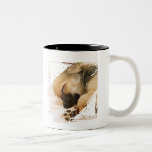 Schattigee Puppy Dog Halloween Custom Tweekleurige Koffiemok (Rechts)