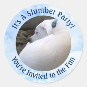 Schattigee Puppy Hond Slaapfoto Slumber Party Ronde Sticker