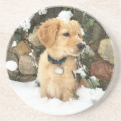 Schattigee Puppy Lab Retriever Zandsteen Onderzetter (Voorkant)