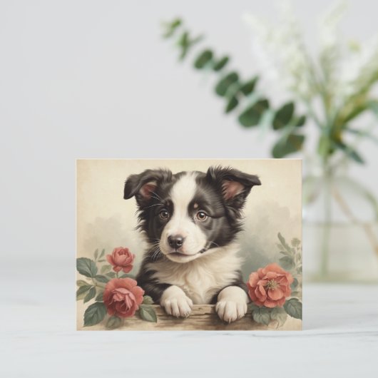 Schattigee Puppy Portret Border Collie Roos Dog Briefkaart (Staand voorkant)