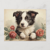 Schattigee Puppy Portret Border Collie Roos Dog Briefkaart (Voorkant)