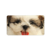 Schattigee puppy shih tzu etiket (Voorkant)