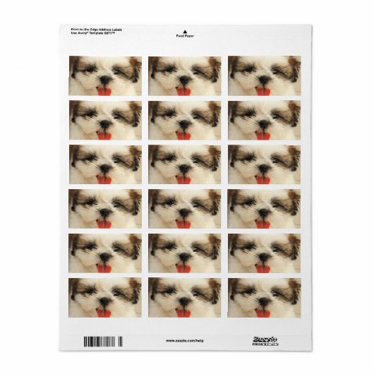 Schattigee puppy shih tzu etiket (Full Sheet)