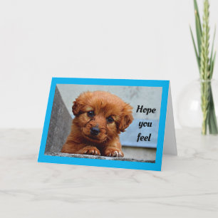 Schattigee puppy wordt gezond kaart
