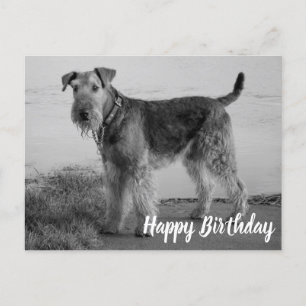 Schattigee puppyhond Airedale Terrier Happy Birthd Briefkaart