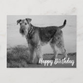 Schattigee puppyhond Airedale Terrier Happy Birthd Briefkaart (Voorkant)