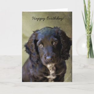 Schattigee Puppykaart Kaart