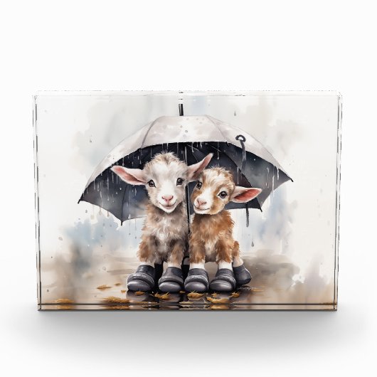 Schattigee regenachtige daggeiten fotoblokken (Voorkant)