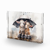 Schattigee regenachtige daggeiten fotoblokken (Rechts)