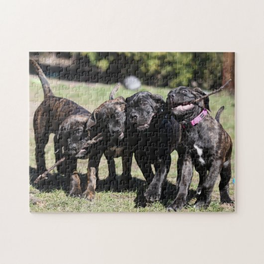 Schattigee riet corso puppy legpuzzel (Horizontaal)