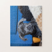 Schattigee riet corso puppy legpuzzel (Verticaal)