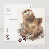 Schattigee River Otter, Dier en sporen, Natue Briefkaart (Voorkant / Achterkant)