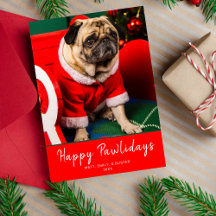 Schattigee Rode & Groene Hond Puppy Foto Happy Paw