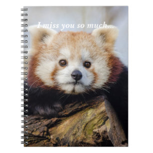 Schattigee rode panda mis je zo erg notitieboek