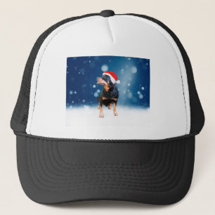Schattigee Rottweiler Dog Christmas Santa Hat Snee Trucker Pet