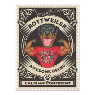 Schattigee Rottweiler Rottie met Spieren Foto Afdruk