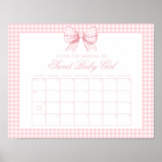 Schattigee Roze Gingham Bow Baby uitgerekende datu Poster (Voorkant)