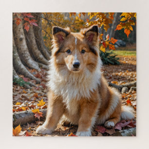Schattigee Sable Rough Collie Puppy in Herfstblade Legpuzzel