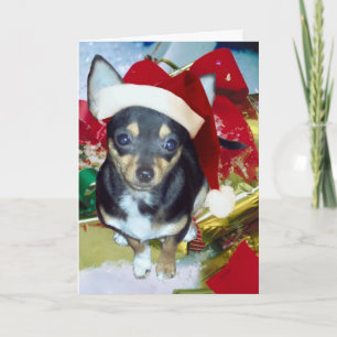 Schattigee Santa Chihuahua AngelPearlGirl Feestdagen Kaart