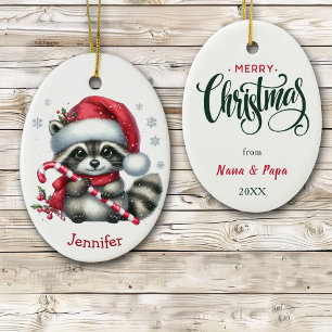 Schattigee Santa Hat Raccoon Kerstmis Keramisch Ornament