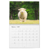 Schattigee schapenkalender kalender (Feb 2027)