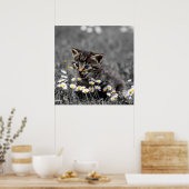 Schattigee Schattige Cat Kitten downloaden en Poster (Keuken)