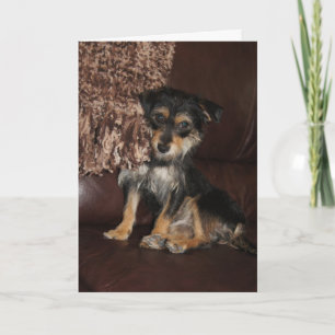 Schattigee, Schattige hond die aan je denkt Kaart